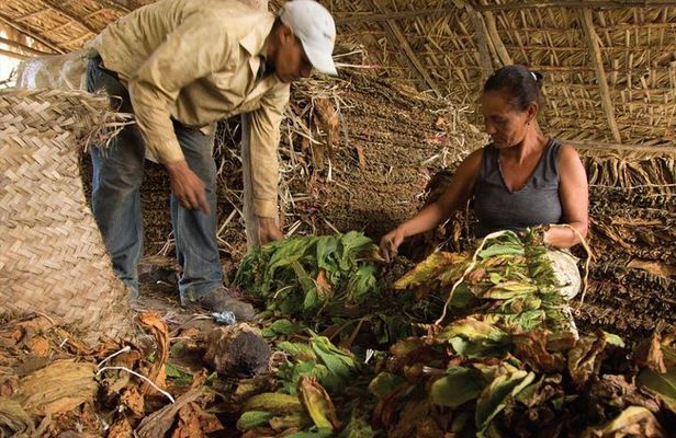 Higuey City Tour from Punta Cana