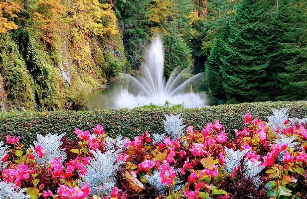 Luxury City Tour of Victoria and The Butchart Gardens