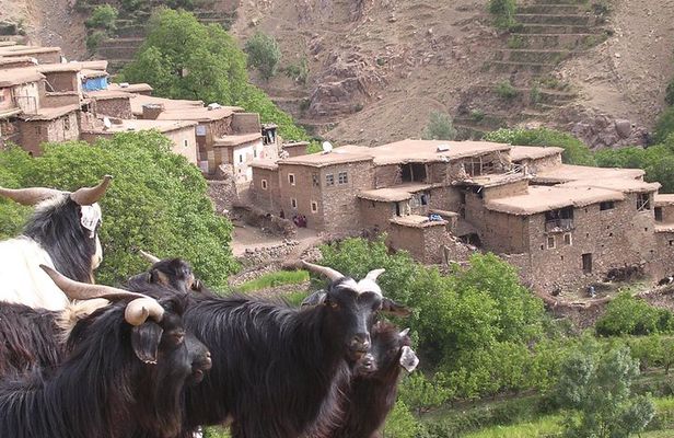 Private Guided Atlas Day Tour from Marrakech with lunch in a Berber family home