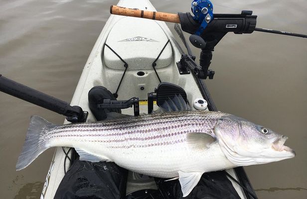 Guided Kayak Fishing Tour