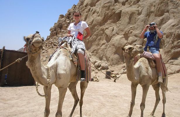 Camel ride in Sharm elsheikh desert