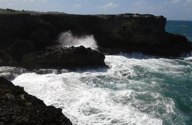 Barbados "Sweet Deal" Scenic Tour