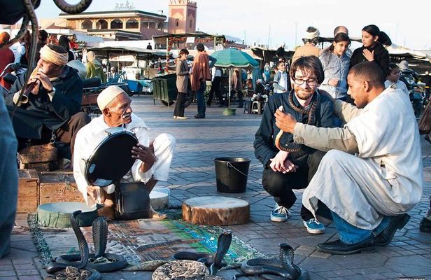 Marrakech walking tour with official city guide