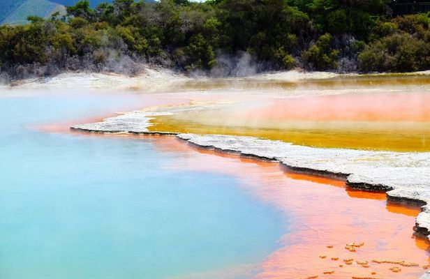 Tauranga to Rotorua Geysers & WaioTapu Wonderland. Private Tour
