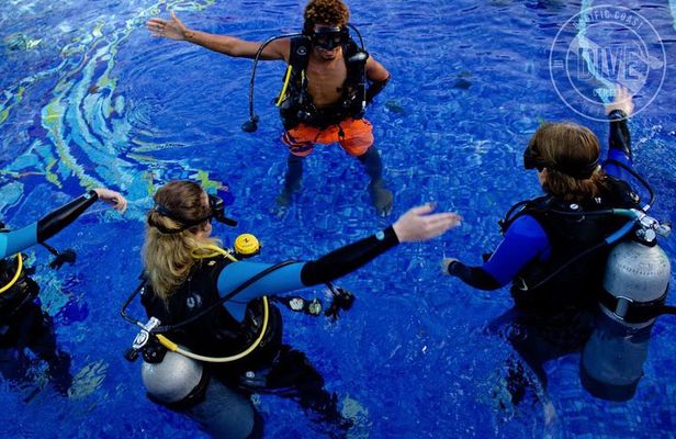 Scuba Diving for Non-Certified Divers at Catalina Islands & North Island - CR