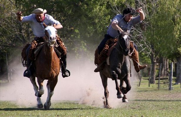 Private Gaucho Day Tour to an Argentinian Estancia