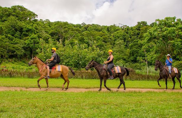 Horseback Riding and Waterfall in Jacó