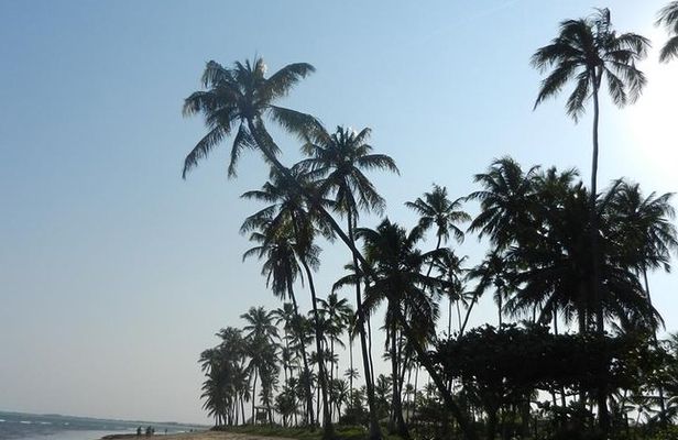 Coconut Coast and Praia do Forte - the famous beaches