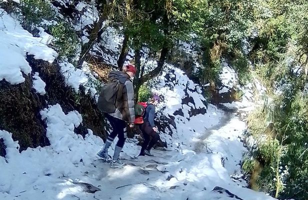 Annapurna: 5 Days Poon Hill Circuit Trek from Pokhara