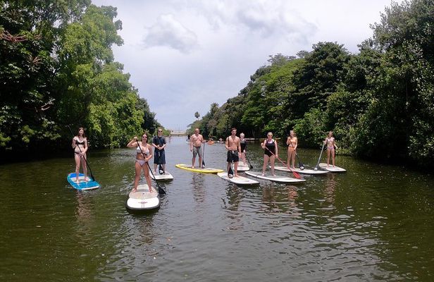 Uniquely Personalized Private Island Tour on Oahu, Hawaii