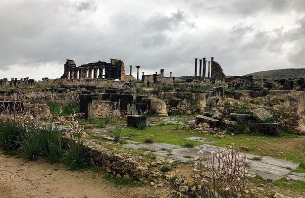 Fes to volubilis and meknes day trip