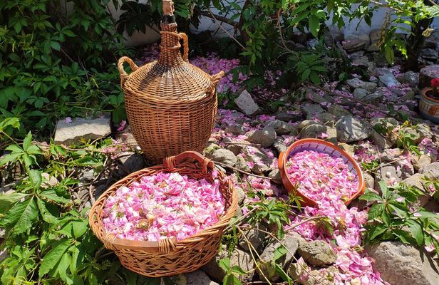 Rose Jam Workshop and Leavening of Authentic Yoghurt in a Traditional House