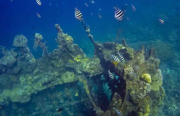 Coron Island Tour B (Private)