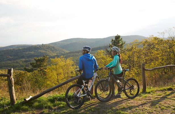 Fruška Gora Bike Tour