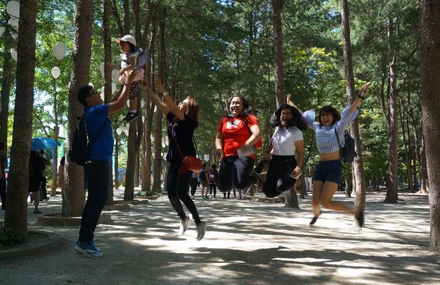 Private Tour: Nami Island& (Alpaca World 'or' Morning Calm)&Lunch