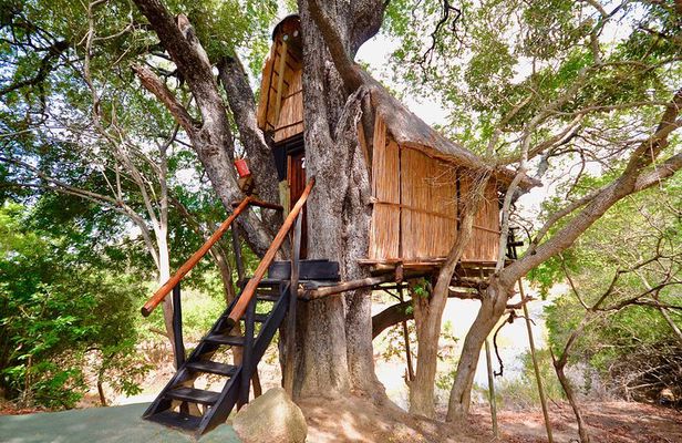 4 Day Lodge and Treehouse Kruger National Park Safari