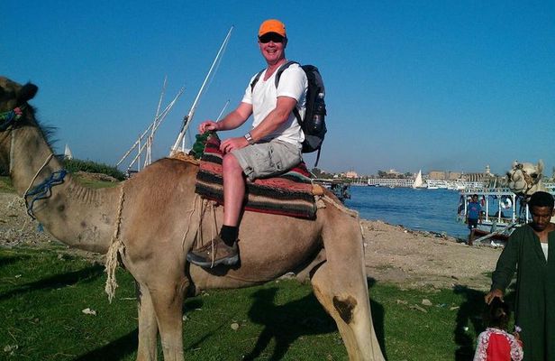 Camel Ride Tour In Luxor