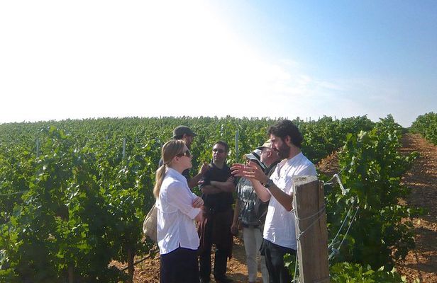 Madrid Countryside Wineries Guided Tour with Wine Tasting