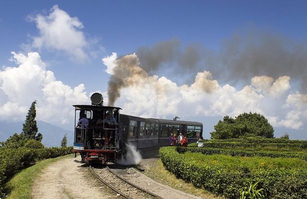 Eastern Himalaya (Darjeeling, Pelling, Gangtok & Kalimpong)