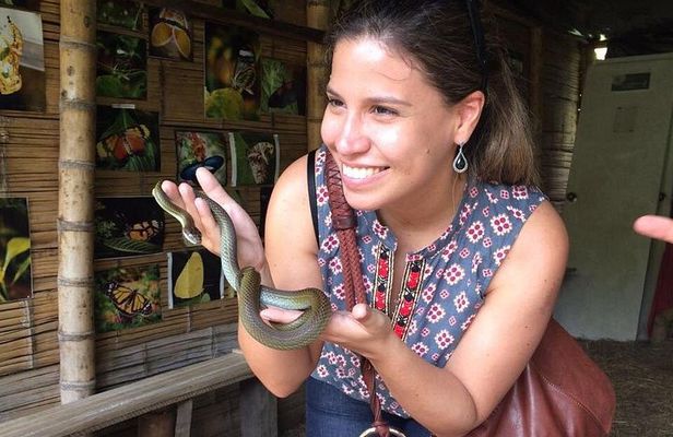 Serranía del Nudo, Nature and Coffee Tour