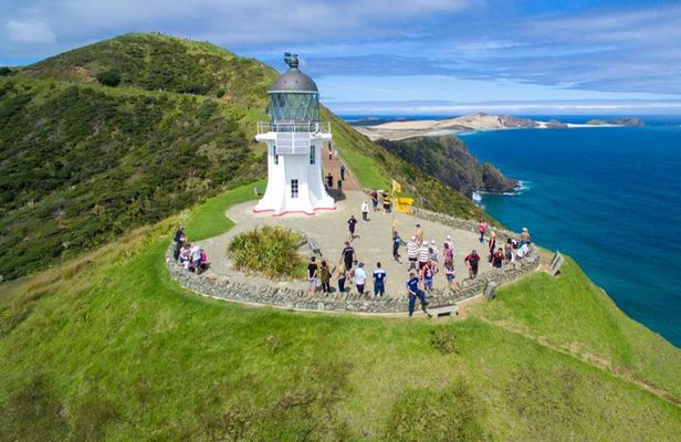 Far North New Zealand Tour Including 90 Mile Beach and Cape Reinga from Paihia