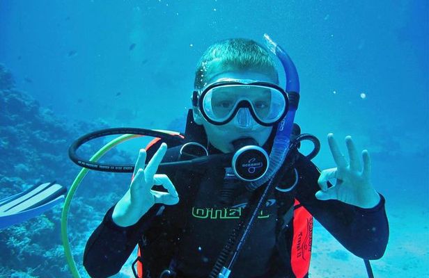 Private Full-Day Snorkeling Tour to Utopia Island from Luxor