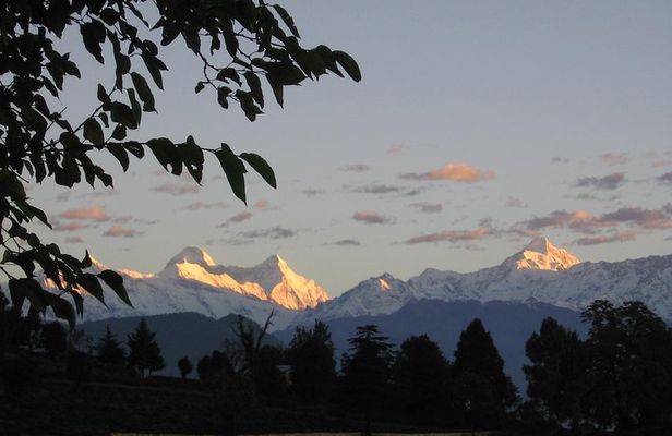 Binsar Sanctuary Walking Holiday