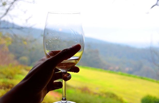 Cape Winelands and Wine Tasting Full Day Tour