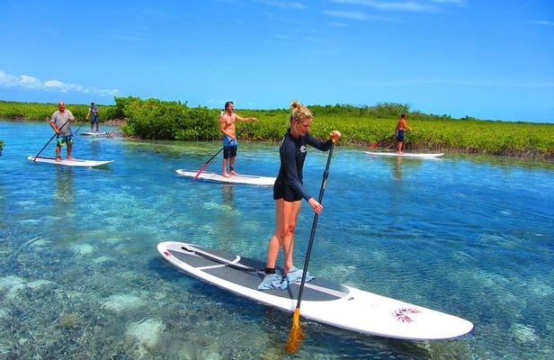 SUP Paddleboard Lesson and Tour - Port Canaveral & Cocoa Beach