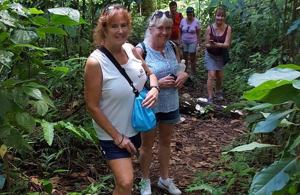 St Kitts Half-Day Rainforest Tour
