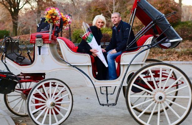 60 min surprise proposal carriage ride