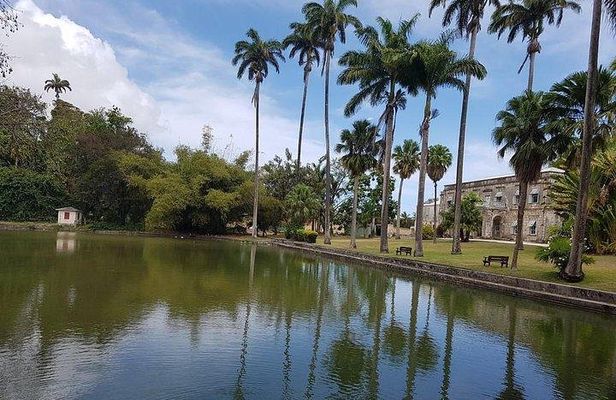 Barbados Amazing Full Day Private Rural Excursion