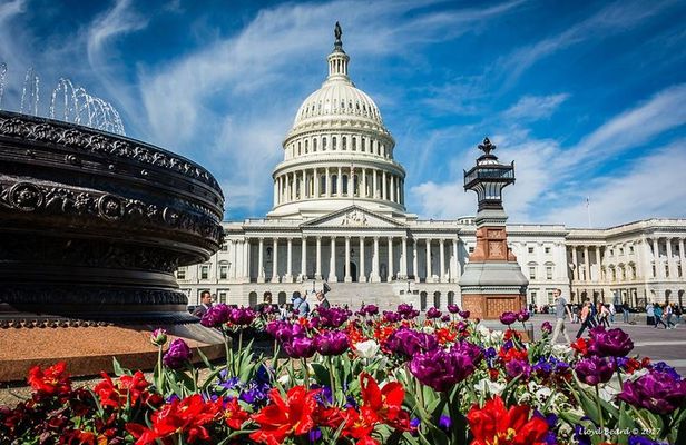 Private Washington, DC Tour for Small Groups (Up to 15 Guests)