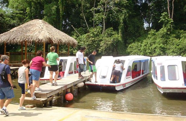 Nature History Tour. Tortuguero Canal & Cahuita National Park Shore Excursion