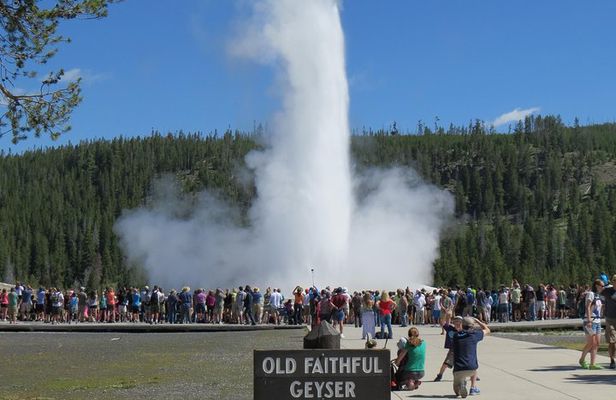 Yellowstone National Park - PRIVATE Full-Day Lower Loop Tour from Jackson Hole