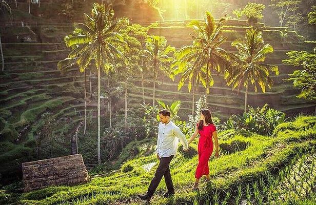Ubud Tour : Best of Ubud with All inclusive