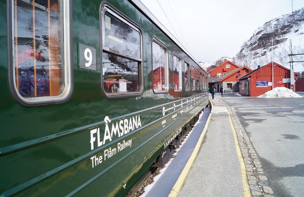 Private tour, Bergen to Oslo - Nærøyfjord Cruise & Flåm Railway