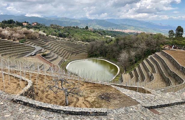Etna tour 4x4 & Wine Experience in a farm