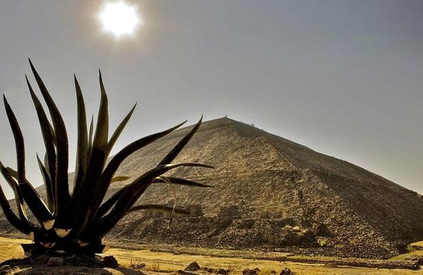 Tour to the Pyramids of Teotihuacán and Basilica of Guadalupe