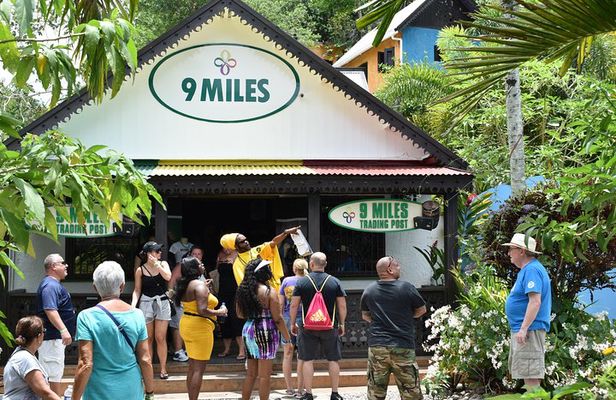 Day Trip to Bob Marley's Nine Mile and Dunn's River Falls from Falmouth