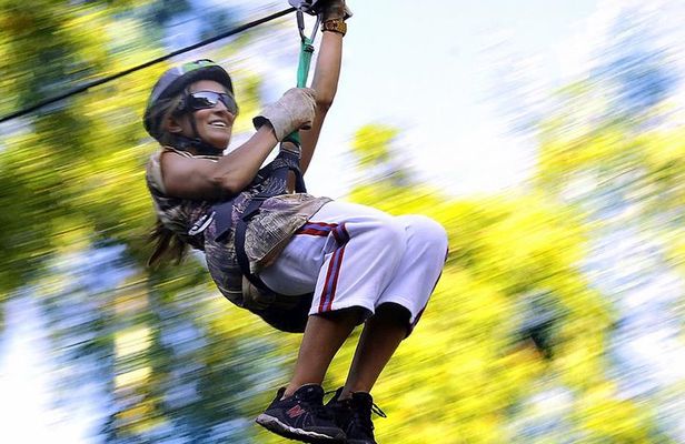 Private Full-Day Mindo Cloud Forest,Butterfly Farm, Chocolate Tour bird watching