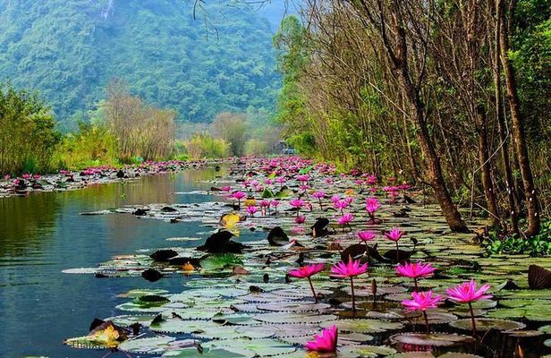 Full-Day Perfume Pagoda Small-Group Tour