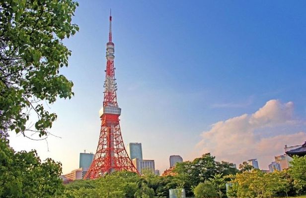 Freely set up plans Guided Private Tours in Tokyo