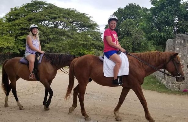 Sand n Saddle Horseback Ride & Swim Tour from Runaway Bay