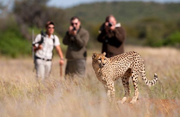 Taste of Namibia Safari - 8 Days