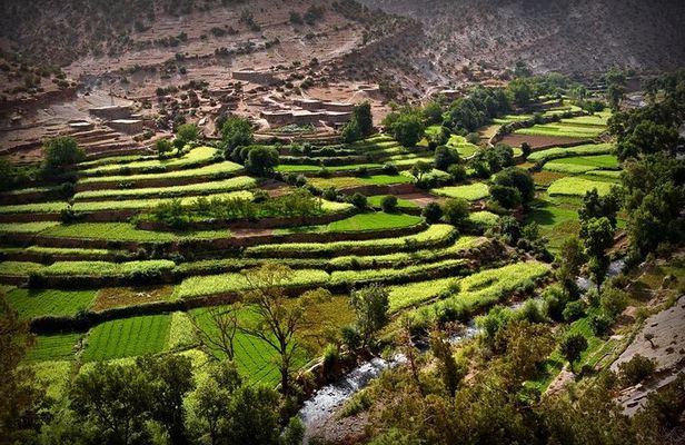 Private excursion to the Ourika Valley from Marrakech