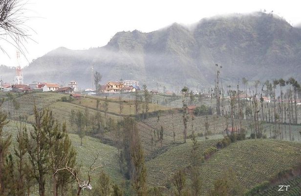 BROMO and WATERFALL from Surabaya : 2 Days