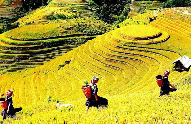 Sapa Trekking Adventures