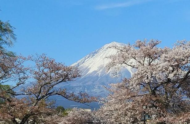 Mt.Fuji Chartered Taxi Tour