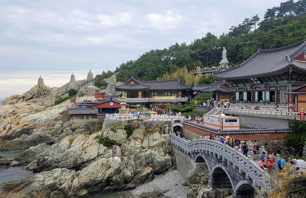 Busan Shore Excursion; Private City Tour